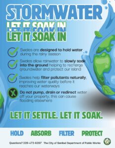 article image - 